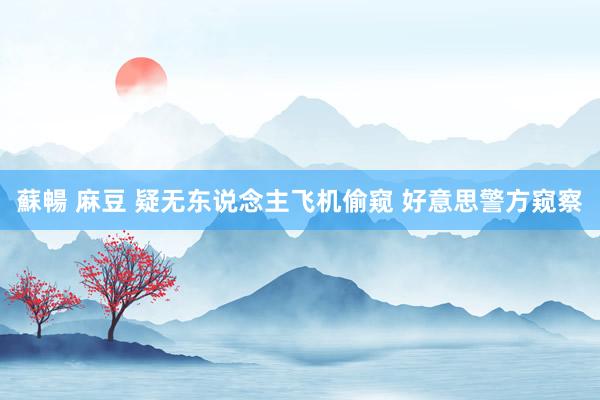 蘇暢 麻豆 疑无东说念主飞机偷窥 好意思警方窥察